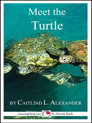 cover image of Meet the Turtle